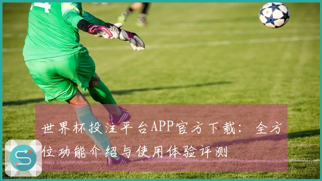 世界杯投注平台APP官方下载：全方位功能介绍与使用体验评测