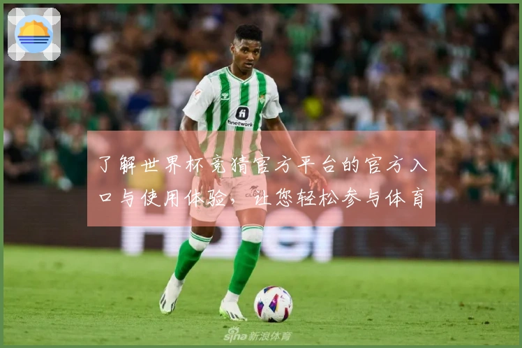 了解世界杯竞猜官方平台的官方入口与使用体验，让您轻松参与体育盛事