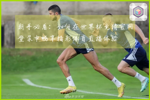 新手必看：如何在世界杯竞猜官网登录中畅享精彩体育直播体验