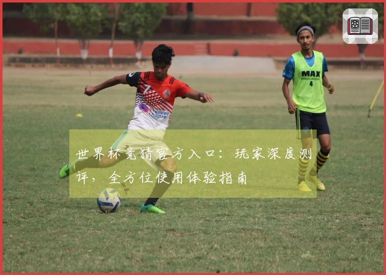 世界杯竞猜官方入口：玩家深度测评，全方位使用体验指南