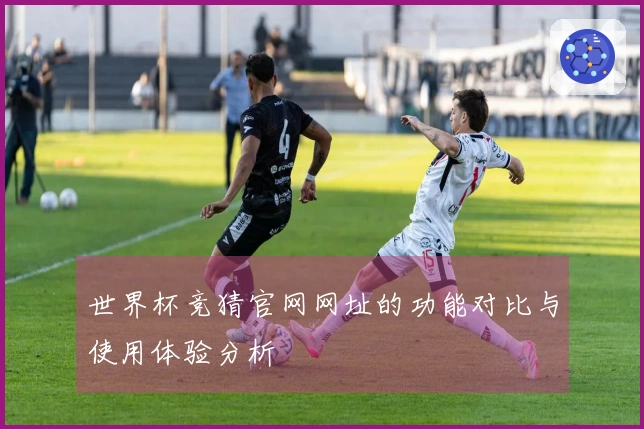 世界杯竞猜官网网址的功能对比与使用体验分析