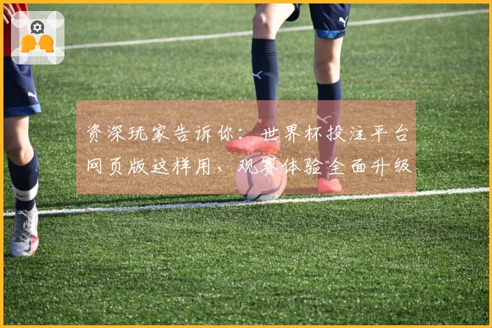 资深玩家告诉你：世界杯投注平台网页版这样用，观赛体验全面升级