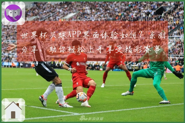 世界杯买球APP界面体验如何？亲测分享，助你轻松上手享受精彩赛事