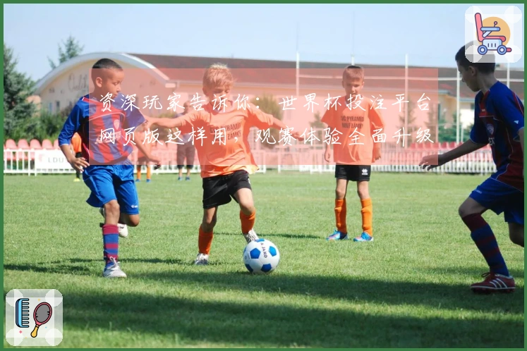 资深玩家告诉你：世界杯投注平台网页版这样用，观赛体验全面升级
