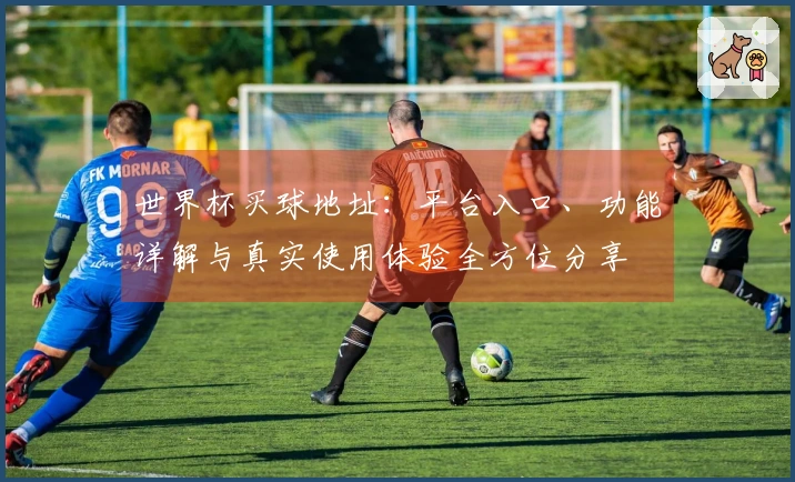 世界杯买球地址：平台入口、功能详解与真实使用体验全方位分享