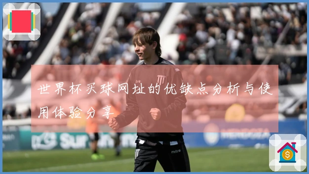 世界杯买球网址的优缺点分析与使用体验分享